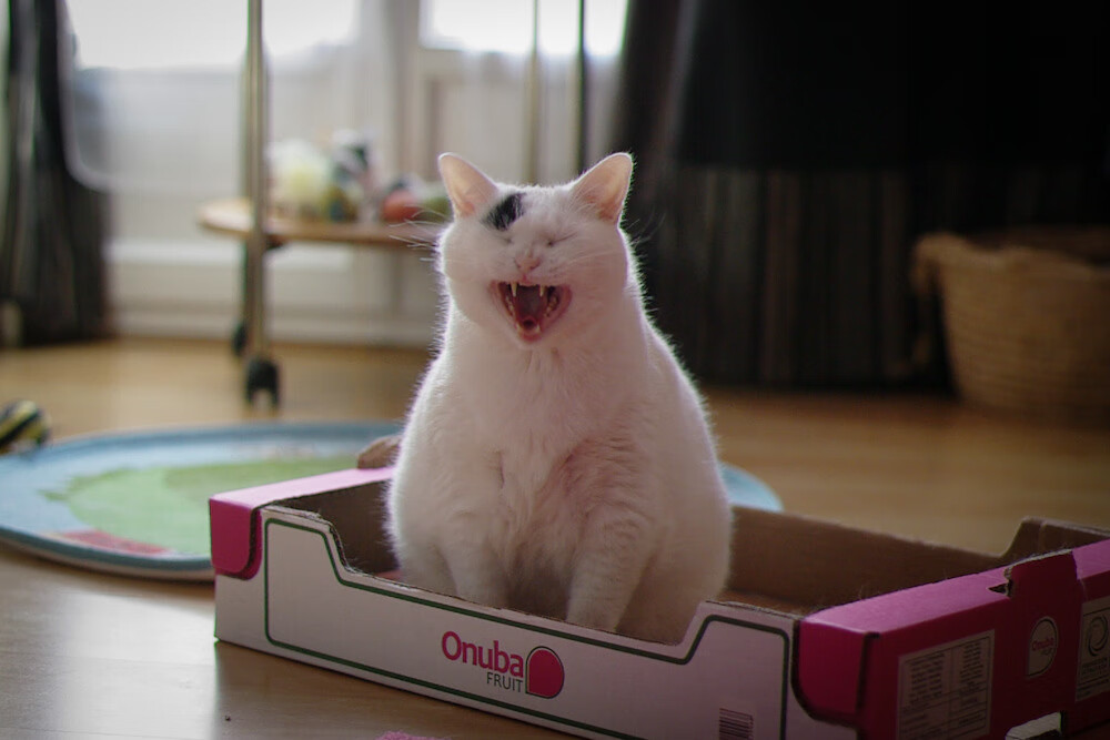 _奇才核心表现抢眼,击退火箭_,奇才vs火箭比赛