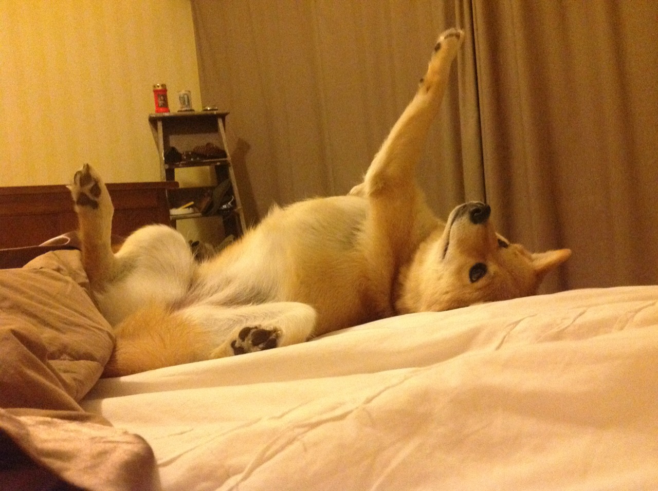 _虚拟现实奥运会:虚拟世界中的体育盛典_,虚拟现实运动