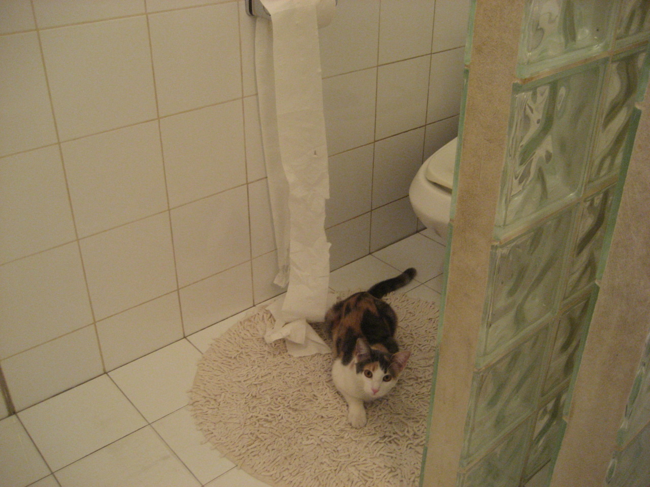 “最疯狂的搞笑瞬间,看暖场趣味片段”,搞笑场面