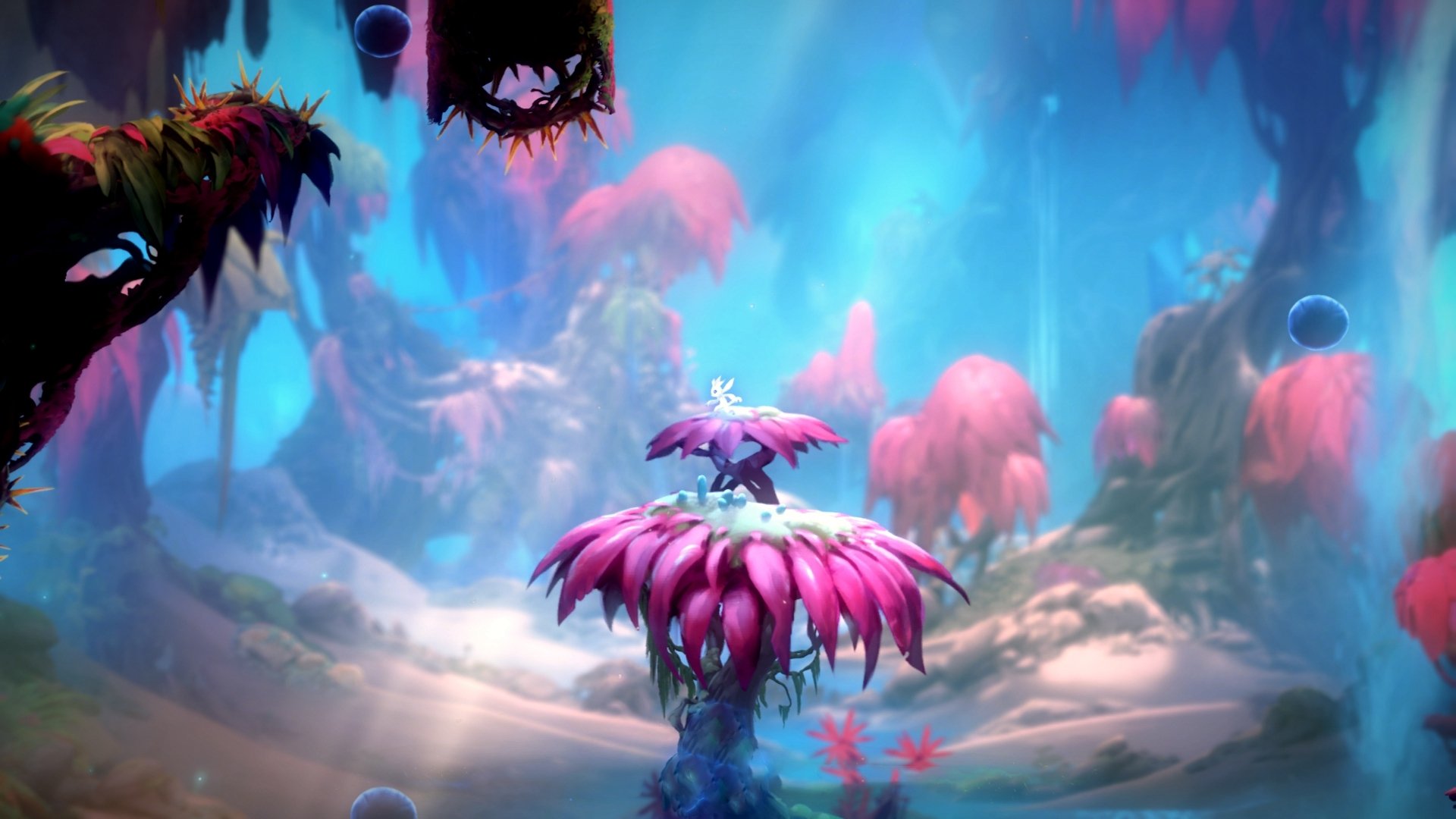 库里:跨越“投篮极限”,定义NBA投射新纪元!,库里最新投篮训练