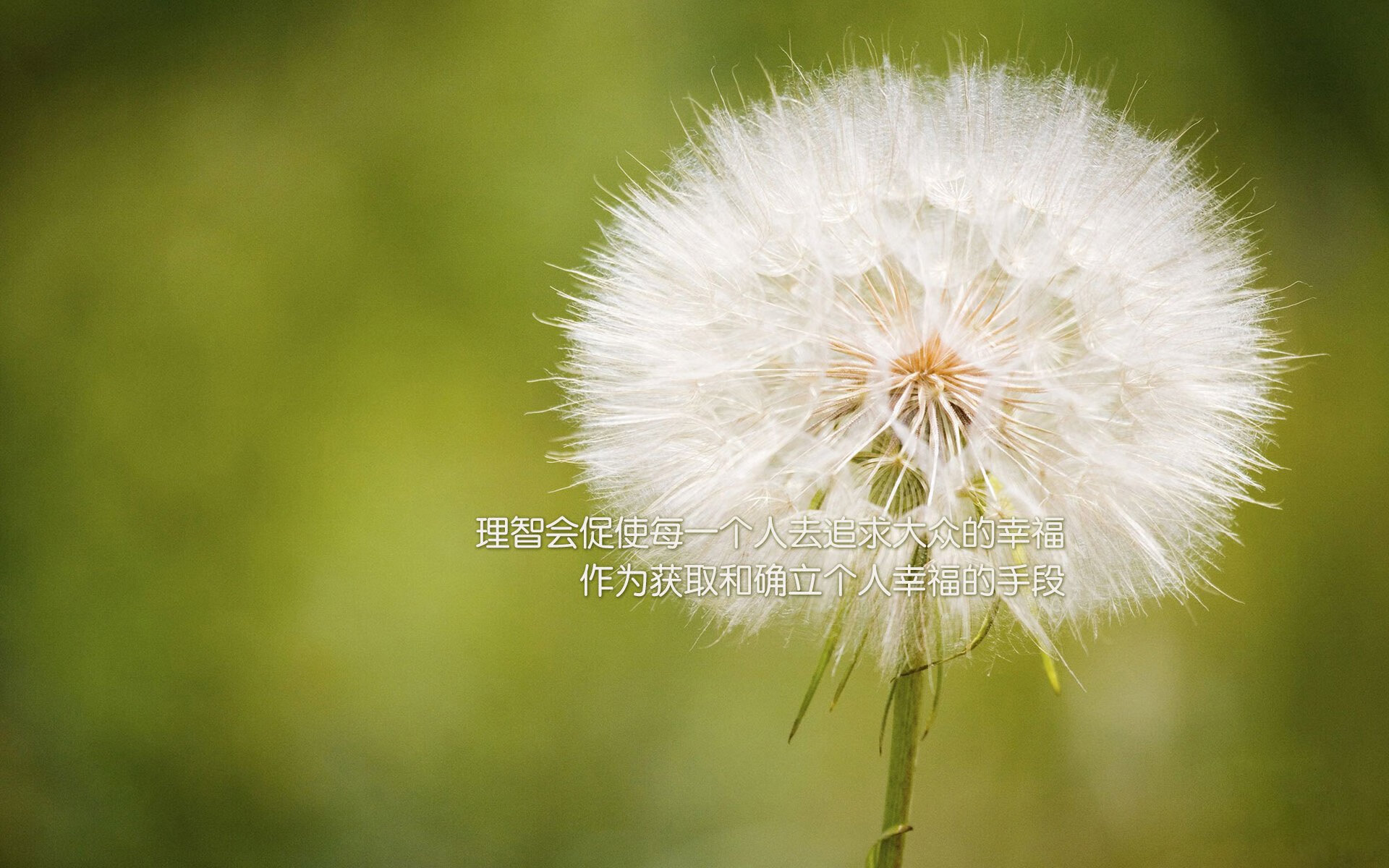 排名风云:本赛季球队实力排行榜揭晓,本赛季球员得分排名