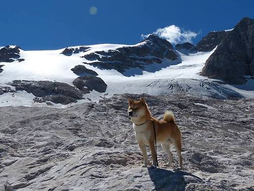 曼联队员精彩表现,帮助球队击败对手,曼联队友