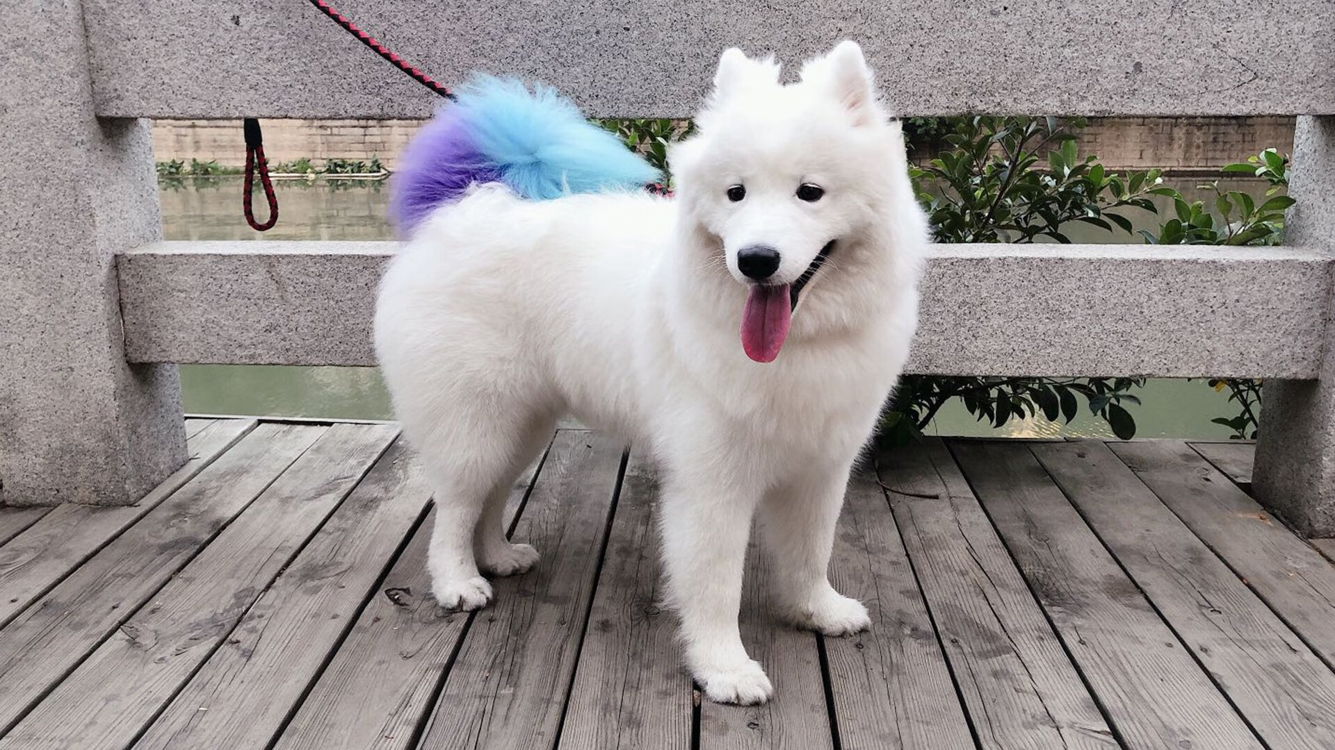 福建主场击败对手，队员合力奋战获胜！，福建队赛程表