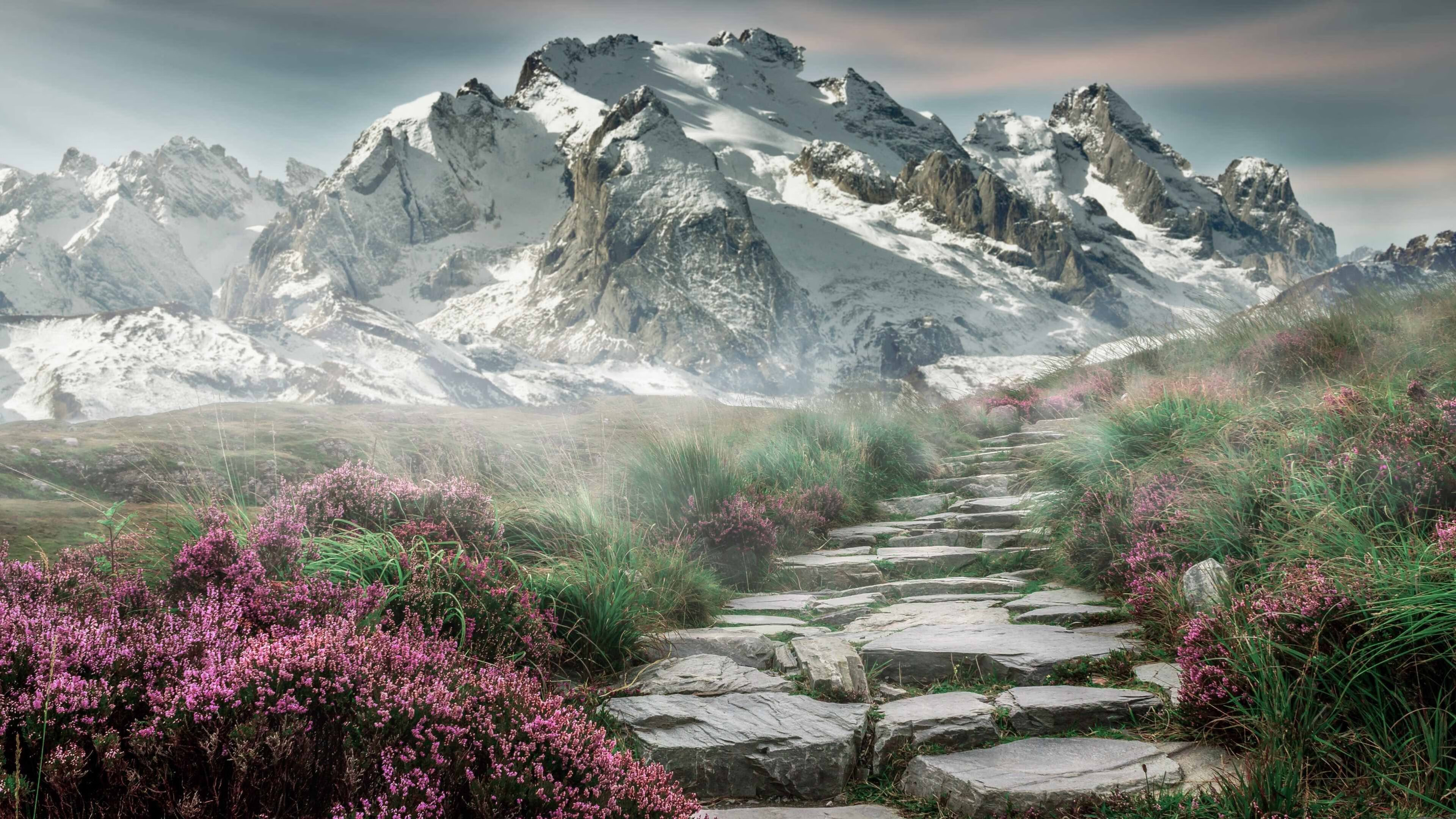 世俱杯:城市间的足球交流盛宴,世俱杯最新消息