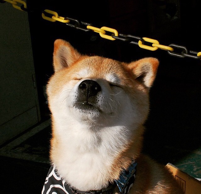 西甲裁判语义分析在判罚一致性中的应用效果,西甲裁判服装