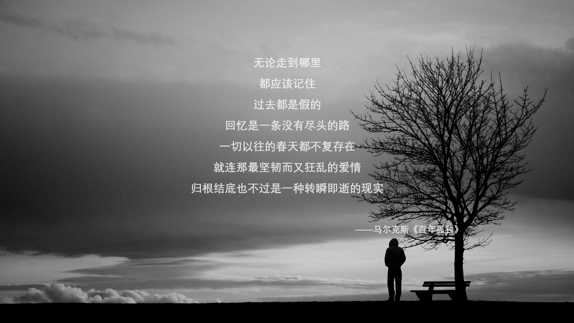 运动类App用户使用偏好与市场发展趋势研究,运动app用户目标