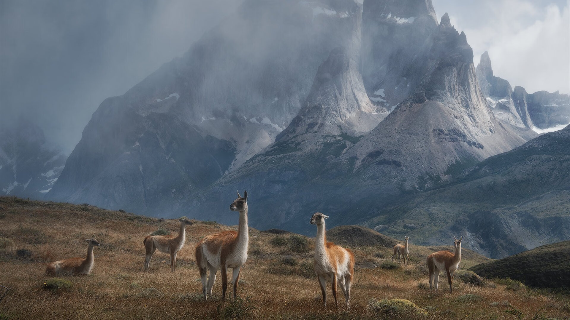 东亚杯中国女足夺冠 球员表现赢得好评,2019年东亚杯女足