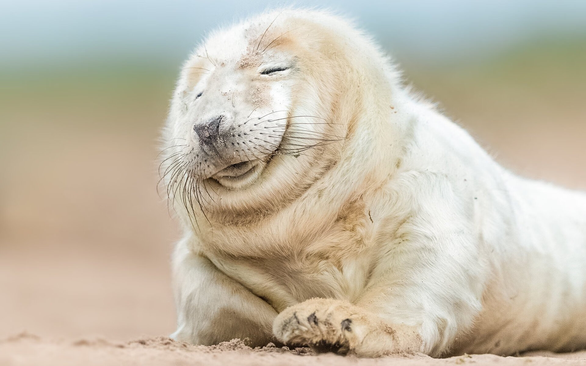 中国香港队的未来挑战：如何在国际乒乓赛事中逐渐崭露头角，乒乓球香港队