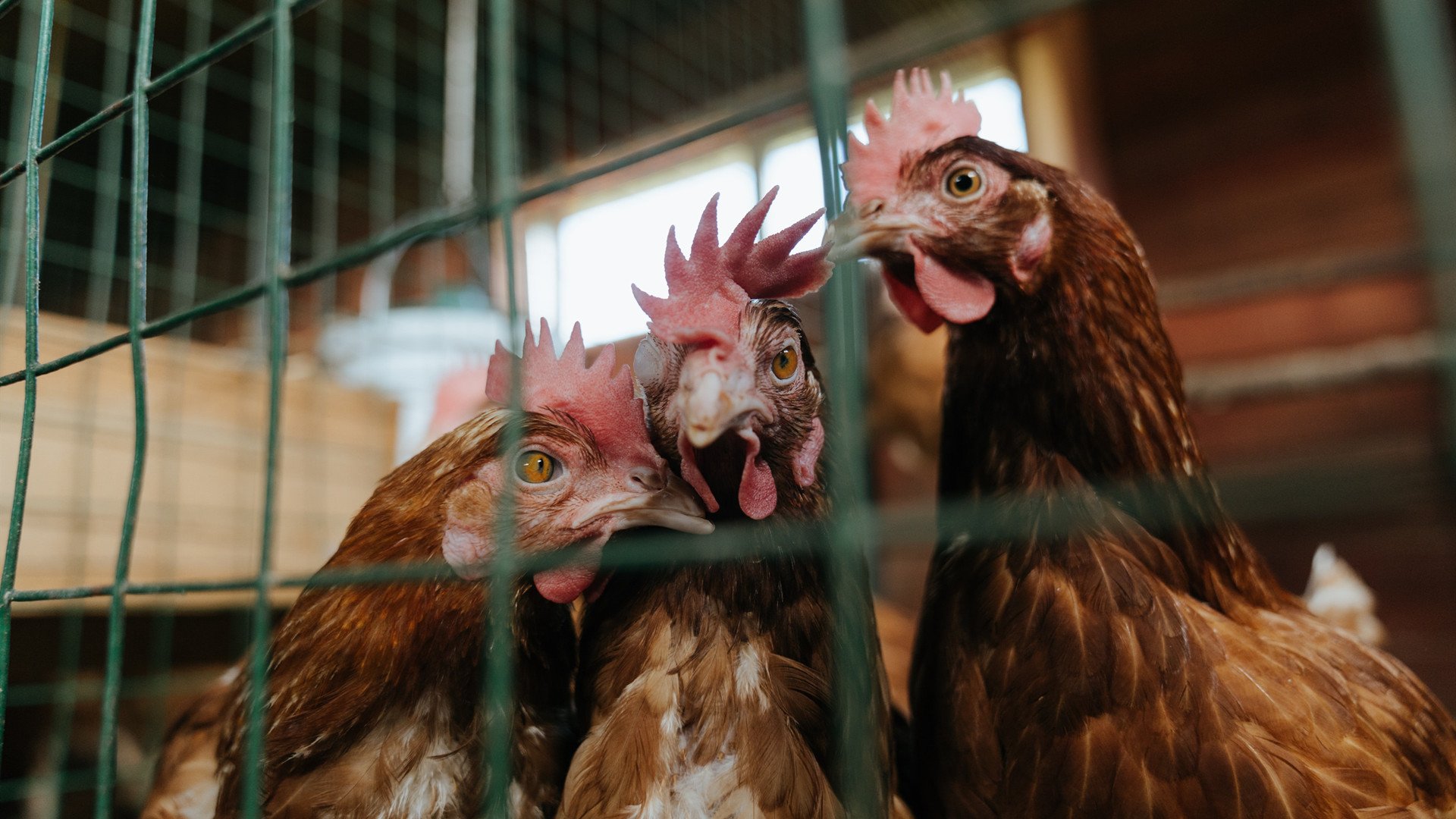战队选手专访曝光幕后训练细节粉丝倍感心酸,战队风采展示