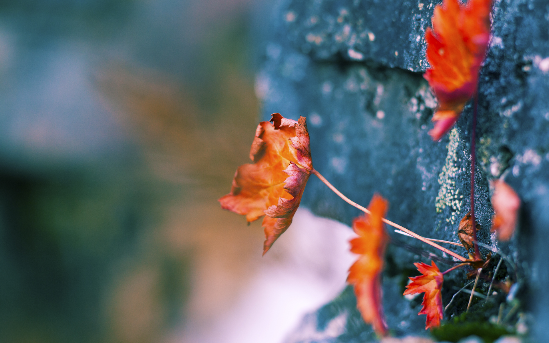 青年队海外拉练收获颇丰，技战术水平提升明显，青年海外协力队